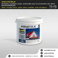 Aquatole Gris flanelle 204 25kg a l'eau