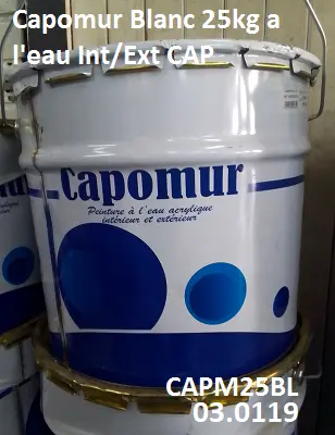 Capomur Blanc 25kg a l'eau Int/Ext CAP