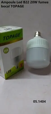 Ampoule Led B22 20W fumee bocal TOPAGE
