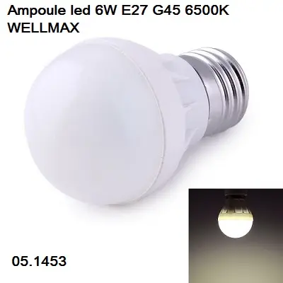 Ampoule led 6W E27 G45 6500K WELLMAX