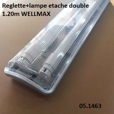 Reglette+lampe etache double 1.20m WELLMAX