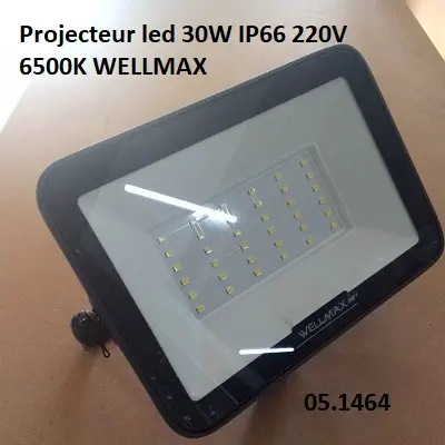 Projecteur led 30W IP66 220V 6500K WELLMAX