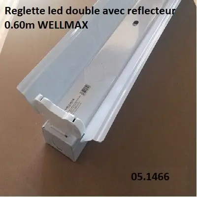 Reglette led double 0.60m T8 2x9W WELLMAX