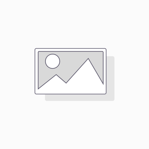 Boulon a bois zingue pas au fond 6x80